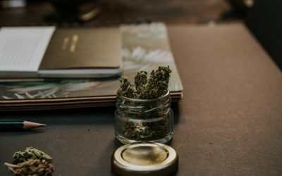 Cannabis – Legalize it?