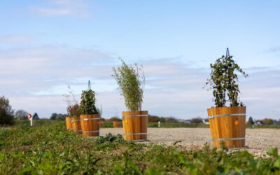 BZ-Interview v. 24.10.2025 mit Rechtsanwalt und Fachanwalt für Strafrecht Jens Janssen zur Causa Herrenknecht und Blumenkübeln in Schwanau: „Ein gewöhnlicher Bürger könnte sich nicht erlauben, was Herrenknecht sich erlaubt“