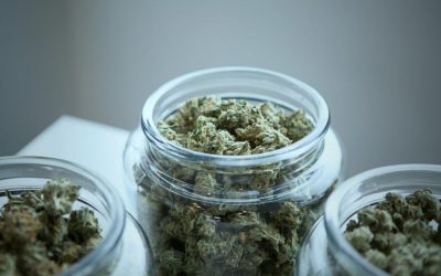 5.3.2025 – Cannabis bleibt wohl auch nach der Wahl legal (Konsumcannabisgesetz)